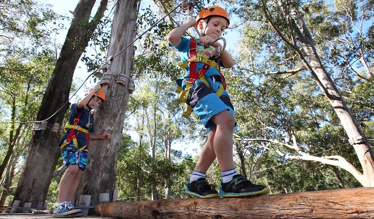 Children crossing the wobbly bridge at Treetops Newcastle. Photo: Michelle Baker