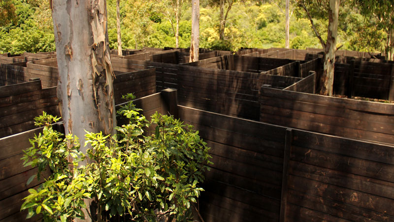 The maze, Blue Gum Hills Regional Park. Photo: John Yurasek &copy; DPIE