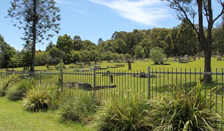 Minmi cemetery stroll, Blue Gum Hills Regional Park. Photo: John Yurasek &copy; OEH