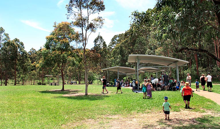 People enjoy a picnic, Village Green picnic area. Photo: John Yurasek/NSW Government