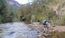 Acacia Flat campground, Blue Mountains National Park. Photo: A Gliddon/NSW Government