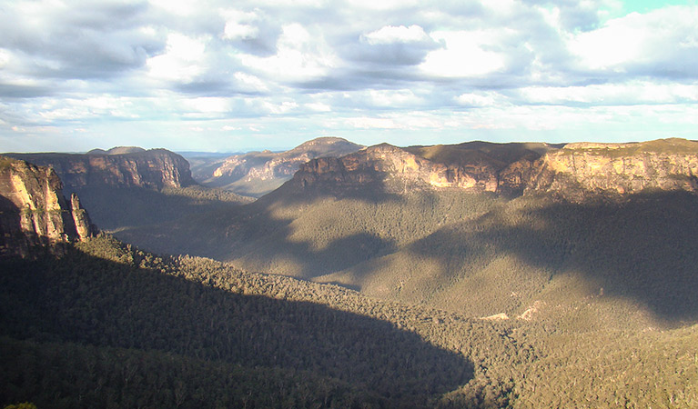 Acacia Flat campground, Blue Mountains National Park. Photo: Steve Alton/NSW Government