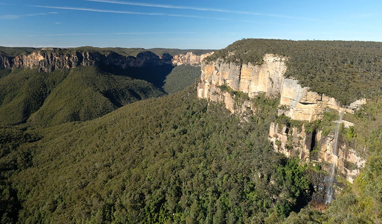 Panoramic view of Grose Valley from Govetts Leap lookout, Blue Mountains National Park. Photo: E Sheargold/OEH