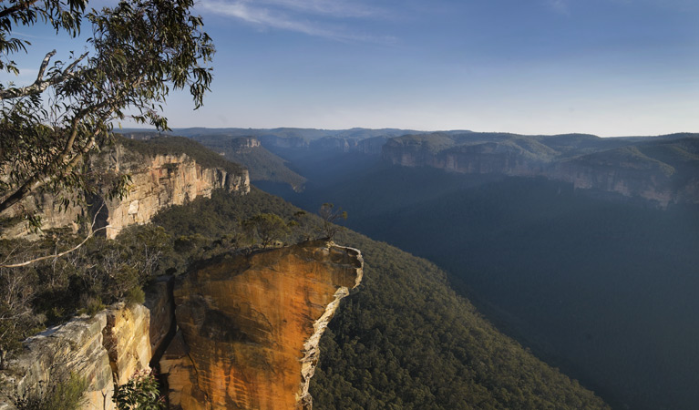 Burramoko Ridge (Hanging Rock), Blue Mountains National Park. Photo: David Finnegan/OEH