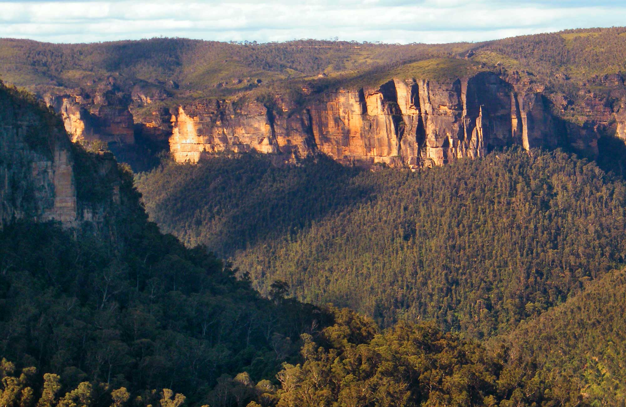 Sandstone escarpment above Grose Valley, Blackheath, Blue Mountains National Park. Photo: Craig Marshall