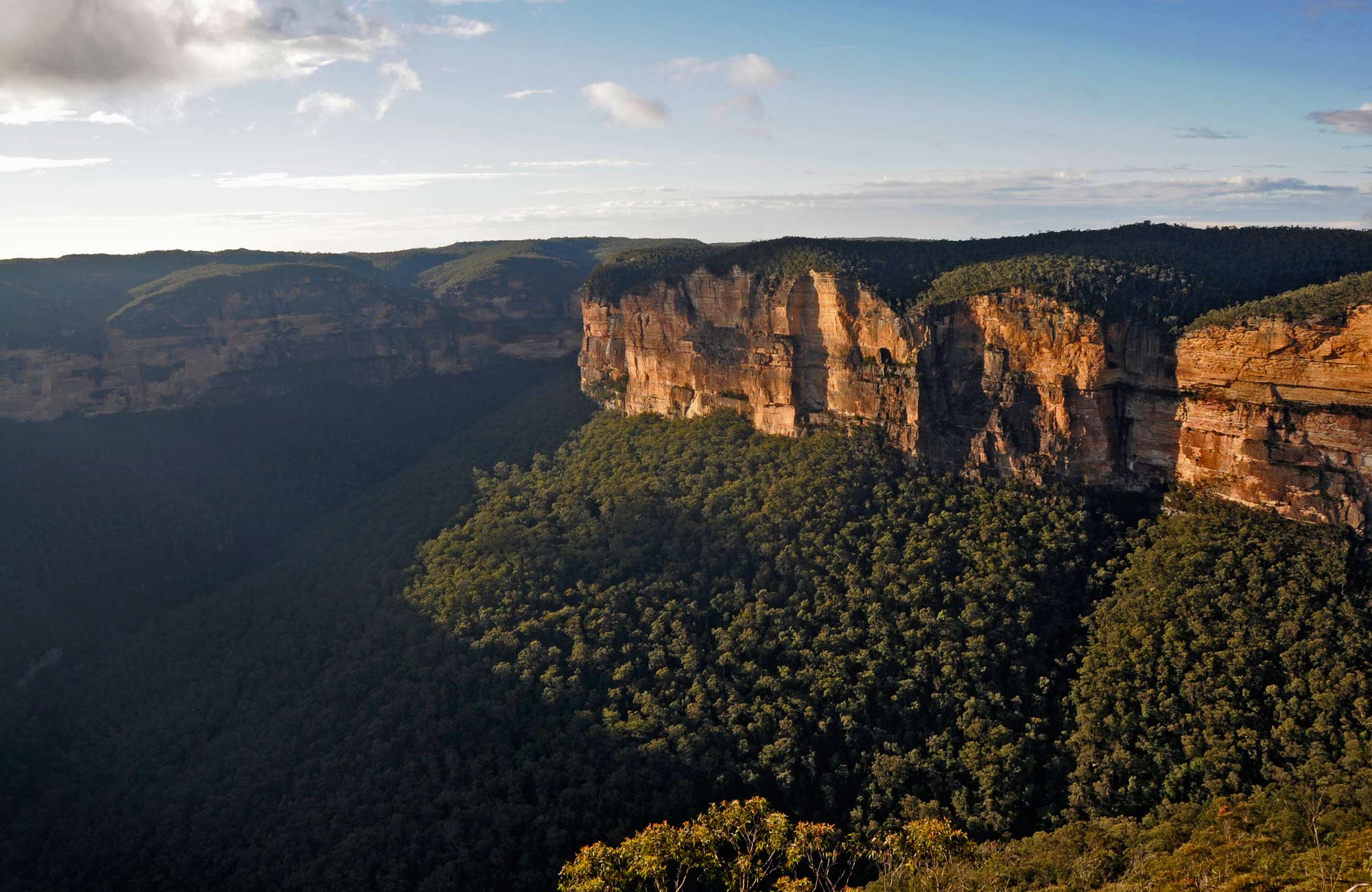 Evans lookout, Blue Mountains National Park. Photo: Kevin McGrath/NSW Government