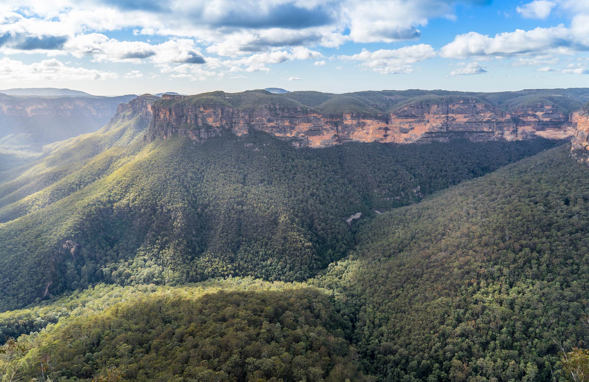 Views of Grose Valley from Evans lookout, Blue Mountains National Park. Photo: Simone Cottrell/OEH.