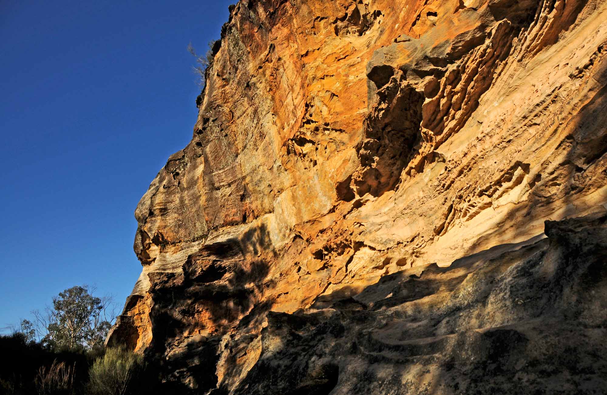Rock wall on Perry's lookdown walk, Blue Mountains National Park. Photo: Kevin McGrath/OEH