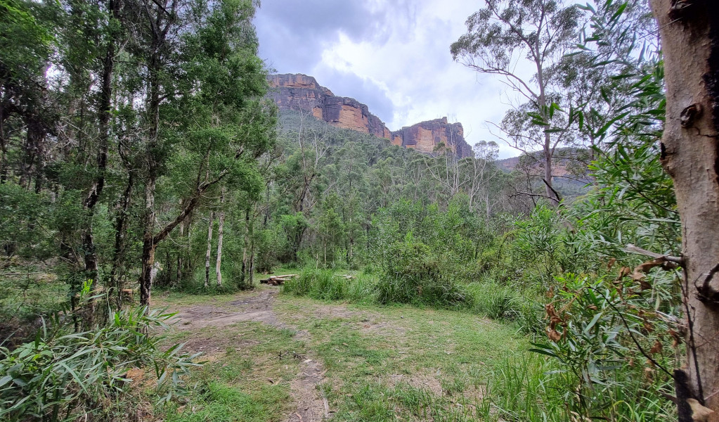 Cliff views in the distance at Burra Korain Flat campground. Photo: David Noble &copy; DEECCW