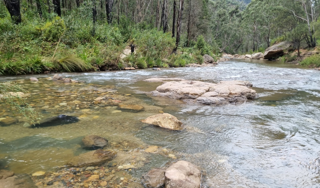 The Grose River near Burra Korain Flat campground. Photo: David Noble &copy; DEECCW