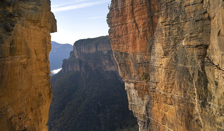 View of Grose Valley escarpment, framed by Handing Rock, Blue Mountains National Park. Photo: David Finnegan/OEH