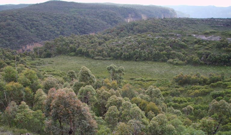 Wide view of swamp  and the start of the drop into Butterbox Canyon. with Grose River Valley in the background, Blue Mountains National Park. Photo &copy; Dr Ian Baird