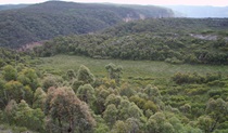 Wide view of swamp  and the start of the drop into Butterbox Canyon. with Grose River Valley in the background, Blue Mountains National Park. Photo &copy; Dr Ian Baird