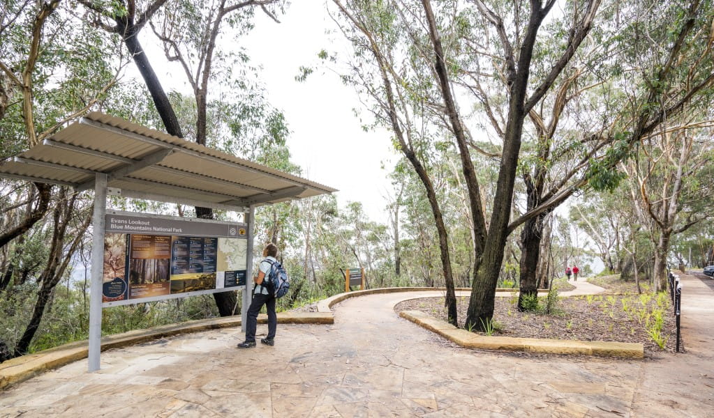A hiker at Evans lookout, Blue Mountains National Park. Photo: Simone Cottrell/OEH.