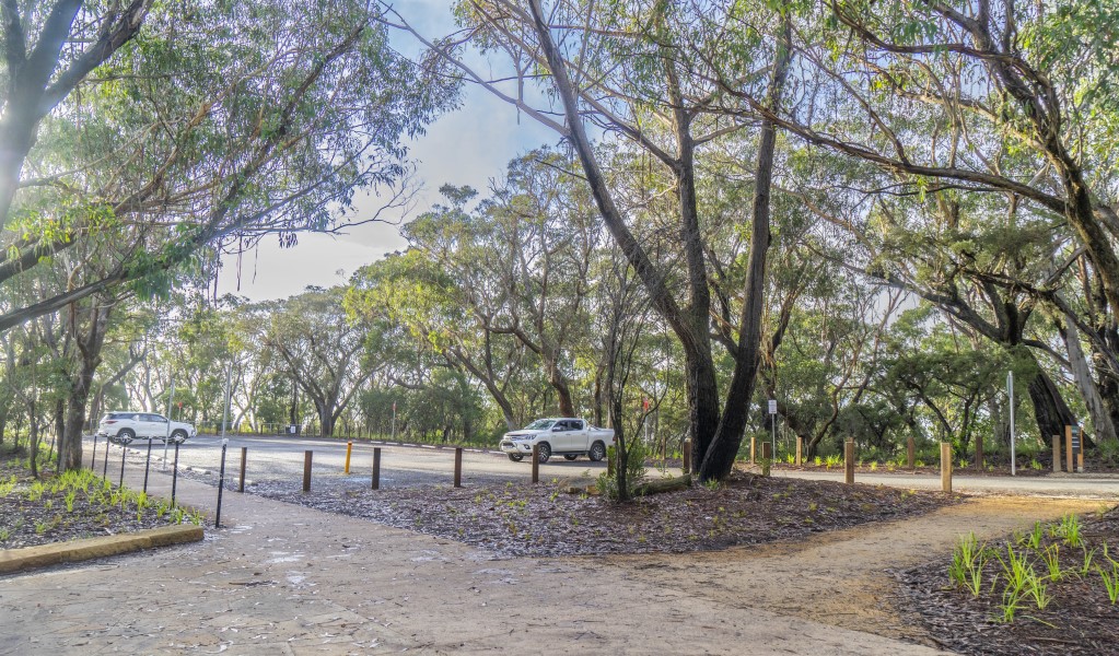 The carpark and the path to Evans lookout in the Blackheath area of Blue Mountains National Park. Photo: Simone Cottrell/DPE &copy; DPE