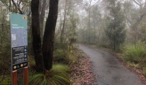 Sign at start of Fairfac Heritage walking track, Blue Mountains National Park. Photo: Elinor Sheargold &copy; OEH