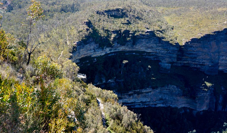 Fairfax Heritage walking track, Blue Mountains National Park. Photo: Steve Alton &copy; OEH