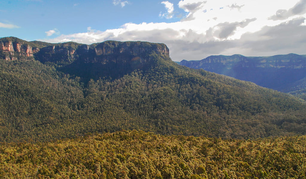 View across forest-clad canyons topped by steep cliff bands along Lockleys Pylon walking track in Blue Mountains National Park. Photo &copy; Aine Gliddon