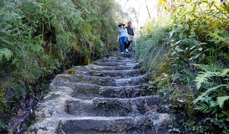 Challenging steps on Govetts Leap descent walk in Blue Mountains National Park. Photo: Steve Alton