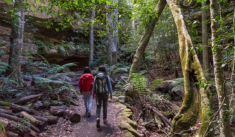 Two hikers walk through rainforest along Grand Canyon track, Blue Mountains National Park. Photo: Simone Cottrell/OEH.