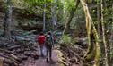 Two hikers walk through rainforest along Grand Canyon track, Blue Mountains National Park. Photo: Simone Cottrell &copy; DPE