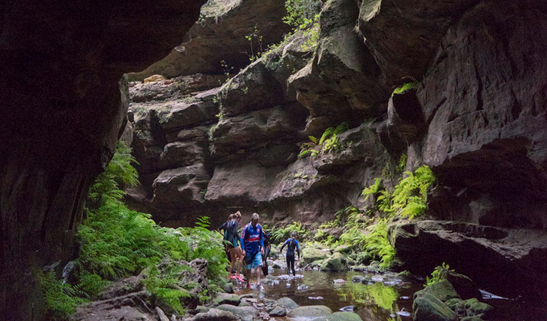 A group of hikers paddle in Grand Canyon, Blue Mountains National Park. Photo: Simone Cottrell