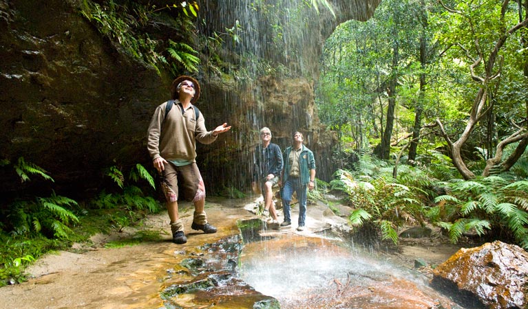 Grand Canyon Track, Blue Mountains National Park. Photo: Steve Alton