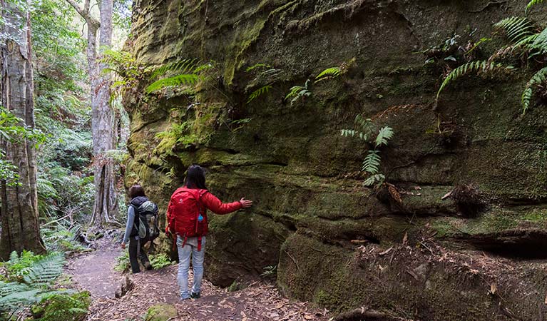 Two hikers walk past a rock wall on Grand Canyon track, Blue Mountains National Park. Photo: Simone Cottrell &copy; DPE