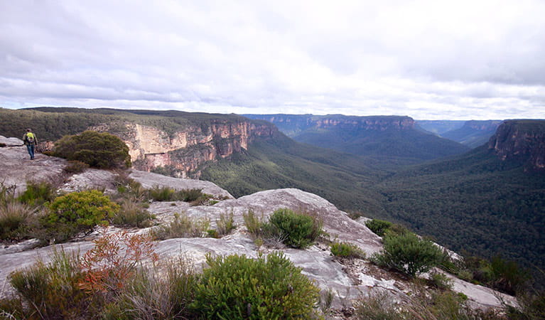 A hiker at Butterbox Point, near Mount Hay, Blue Mountains National Park. Photo: E Sheargold/OEH