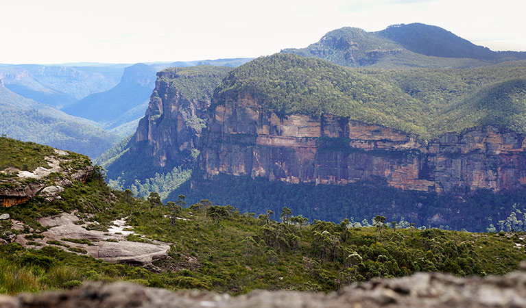 Lockley Pylon walking track, Blue Mountains National Park. Photo: Steve Alton &copy; OEH
