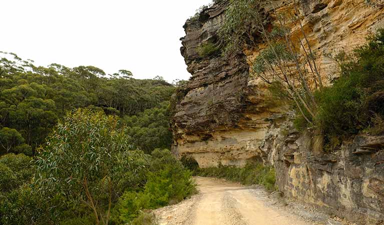 Sandstone rock wall along Mount Hay Road, Blue Mountains National Park. Photo: Elinor Sheargold/OEH