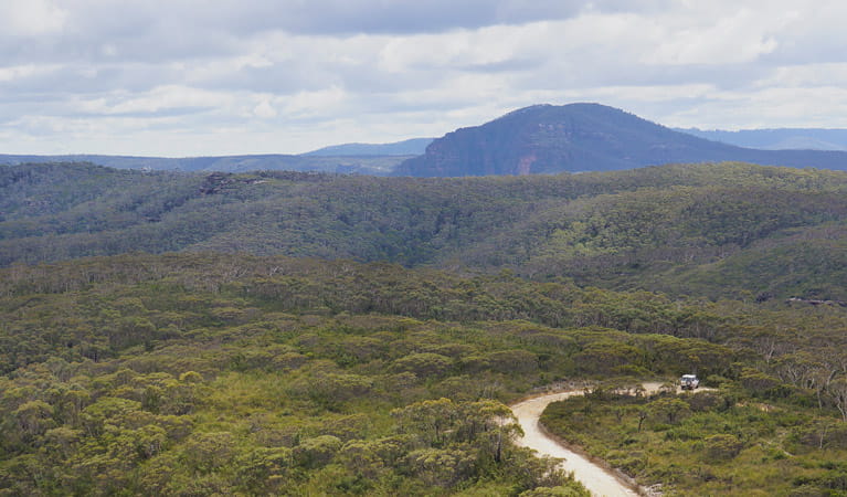 Mount Hay Road Leura, Blue Mountains National Park. Photo: Steve Alton/NSW Government