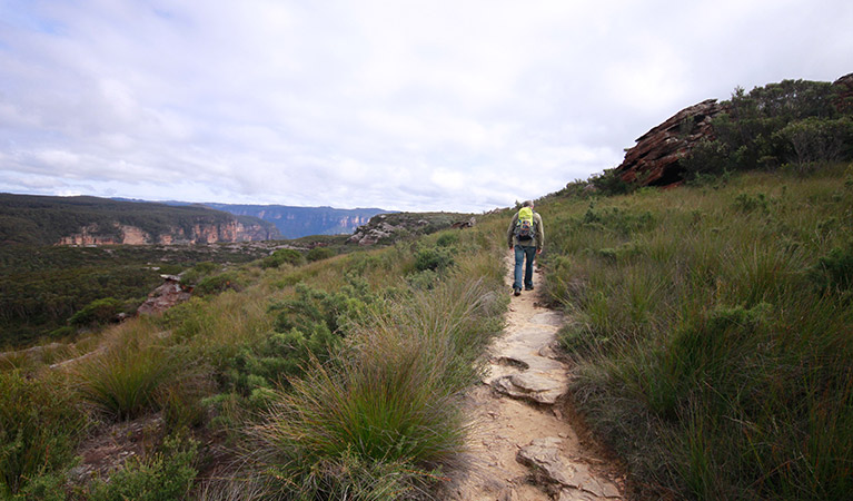 A man walks along rocky Mount Hay summit walking track, Blue Mountains National Park. Photo: Elinor Sheargold &copy; OEH