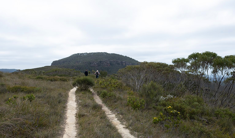 Two men walk towards Mount Hay summit, Blue Mountains National Park. Photo: Elinor Sheargold &copy; DPE