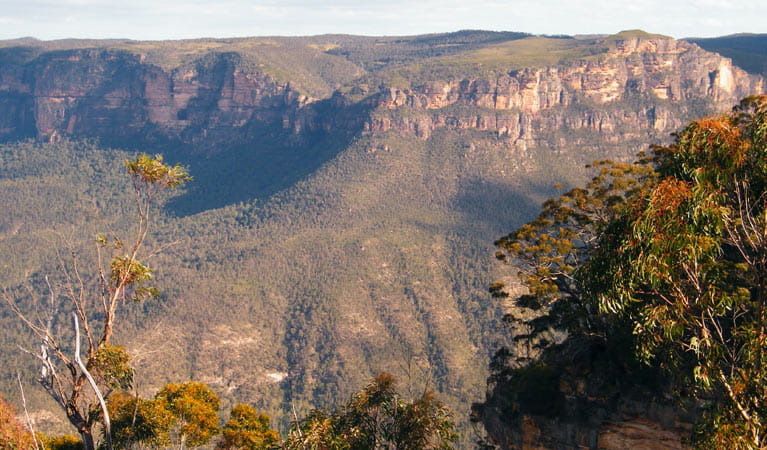 Perrys Lookdown to Blue Gum Forest, Blue Mountains National Park. Photo: Craig Marshall &copy; shared OEH and photographer