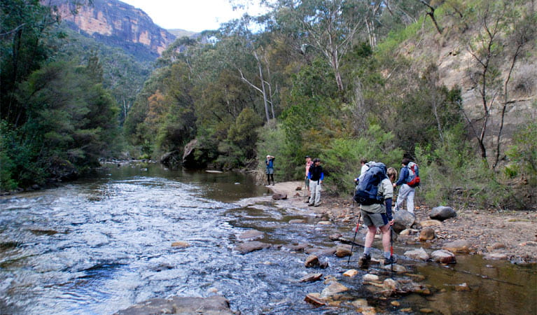 Grose River Crossing, Pierces Pass to Blue Gum Forest, Blue Mountains National Park. Photo: Steve Alton/NSW Government