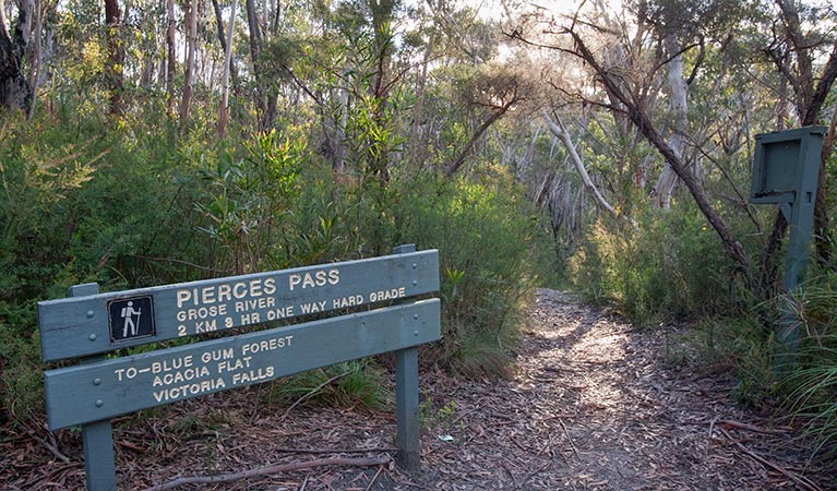 Pierces Pass to Blue Gum Forest walking track, Blue Mountains National Park. Photo: Nick Cubbin &copy; OEH