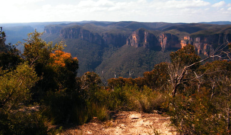 Pulpit walking track, Blue Mountains National Park. Photo: Craig Marshall