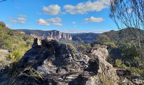 Rocky outcrop with a wide vista of cliffs and mountains cloaked in forest. Photo: Dave Noble &copy; OEH