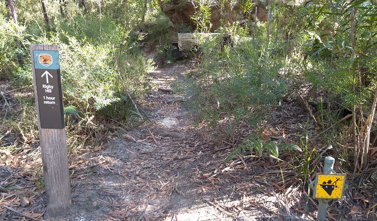  Park signage for Rigby Hill next to a walking track through scrubby bushland. Photo: Dave Noble/DPIE