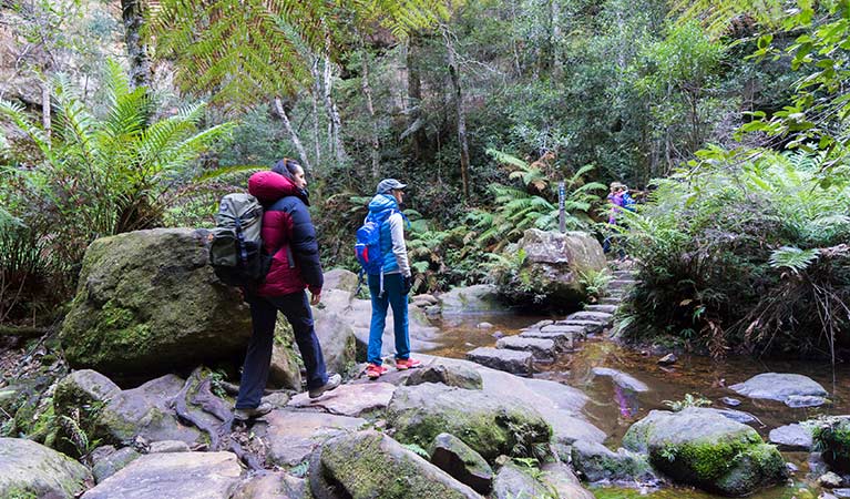 Hikers on Rodriguez Pass walking track, Blue Mountains National Park. Photo: Simone Cottrell &copy; DPE