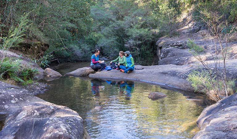 Hikers stop by a creek along Rodriguez Pass walking track, Blue Mountains National Park. Photo: Simone Cottrell &copy; DPE
