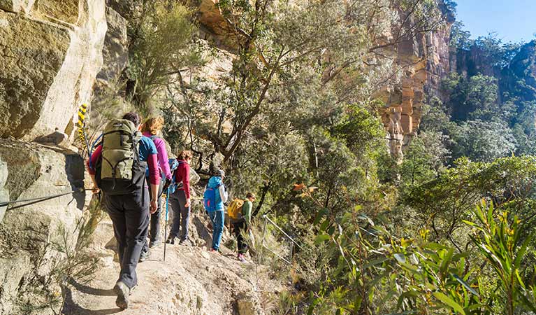 Walkers follow an exposed cliff edge path on Rodriguez Pass walking track, Blue Mountains National Park. Photo: Simone Cottrell/OEH.