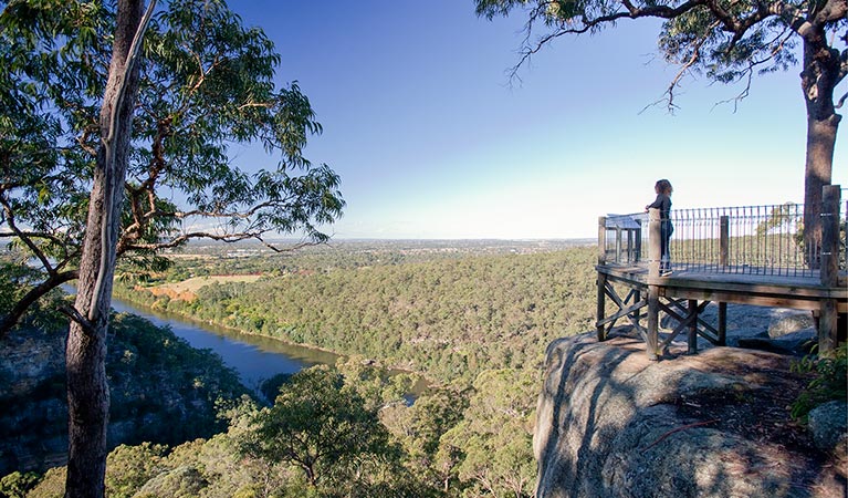 Mount Portal lookout, Blue Mountains National Park. Photo: Nick Cubbin/OEH