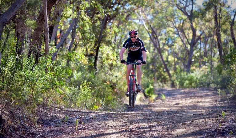 A cyclist rides along a fire trail in Blue Mountains National Park. Photos: Nick Cubbin &copy: DPIE