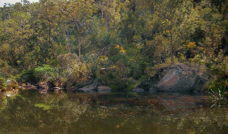 Blue Pool Walk, Blue Mountains National Park. Photo: Craig Marshall &copy; OEH