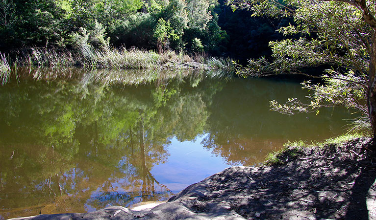 Blue Pool, near Glenbrook in Blue Mountains National Park. Photo &copy; Natasha Webb