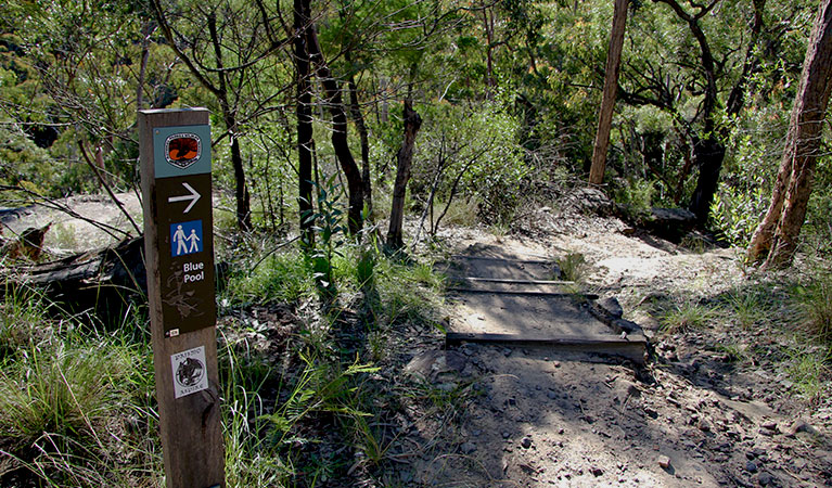 The trackhead for Blue Pool walking track, in Blue Mountains National Park. Photo &copy; Natasha Webb