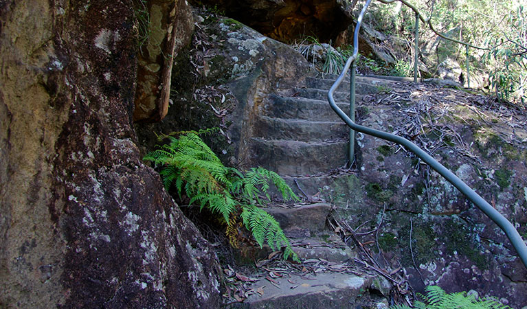 Stairs along Blue Pool walking track in Blue Mountains National Park. Photo &copy; Natasha Webb