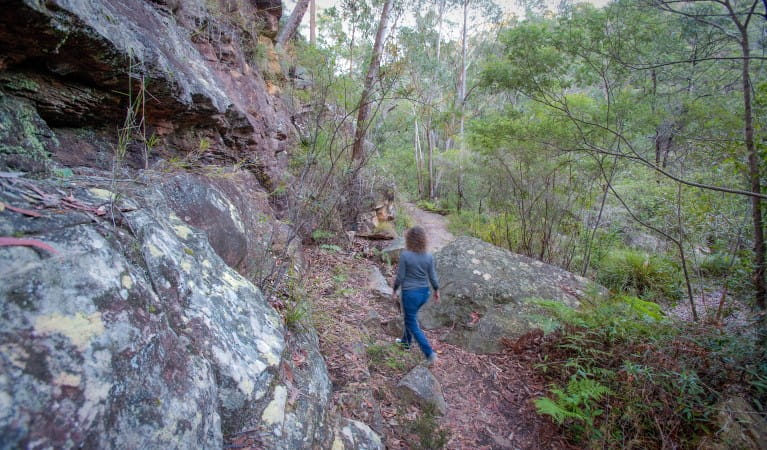 A person walking along Blue Pool walking track in the Glenbrook area of Blue Mountains National Park. Photo: Nick Cubbin &copy; OEH